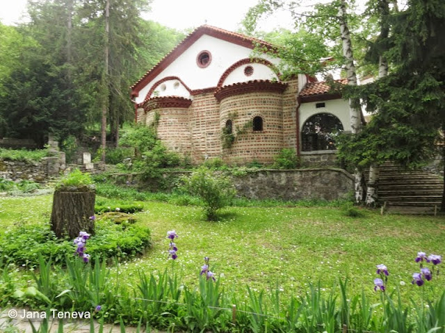Flowers in Dragalevski monastery