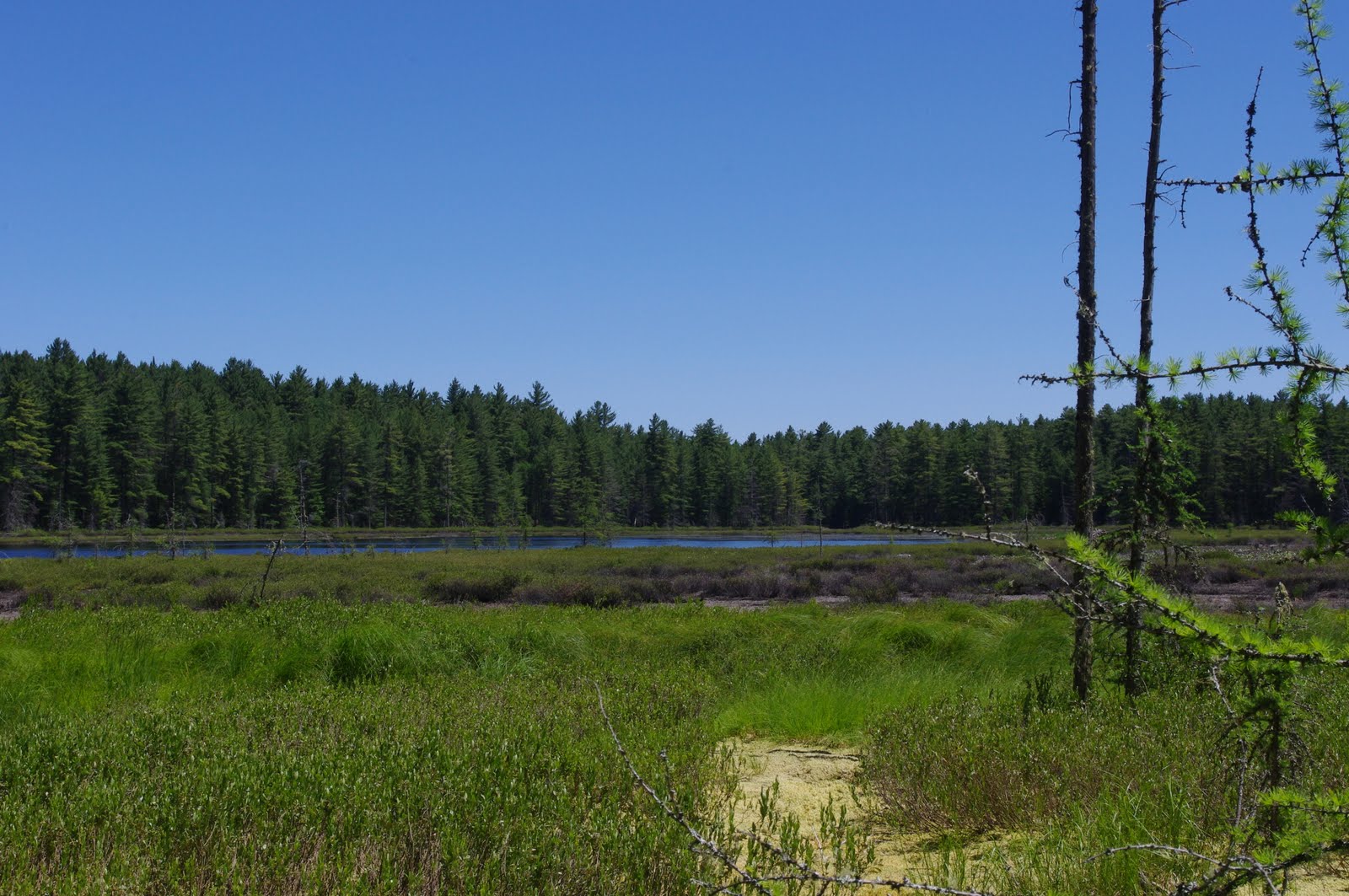 Ski = MC Squared Mountain Biking Floodwood Pond Loop 6/19/2011