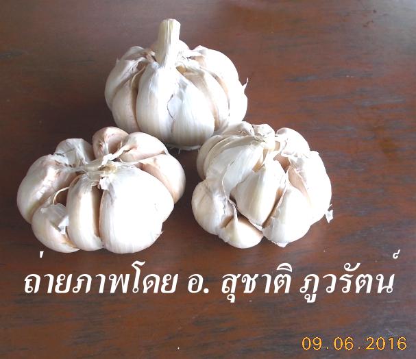 My Image 73