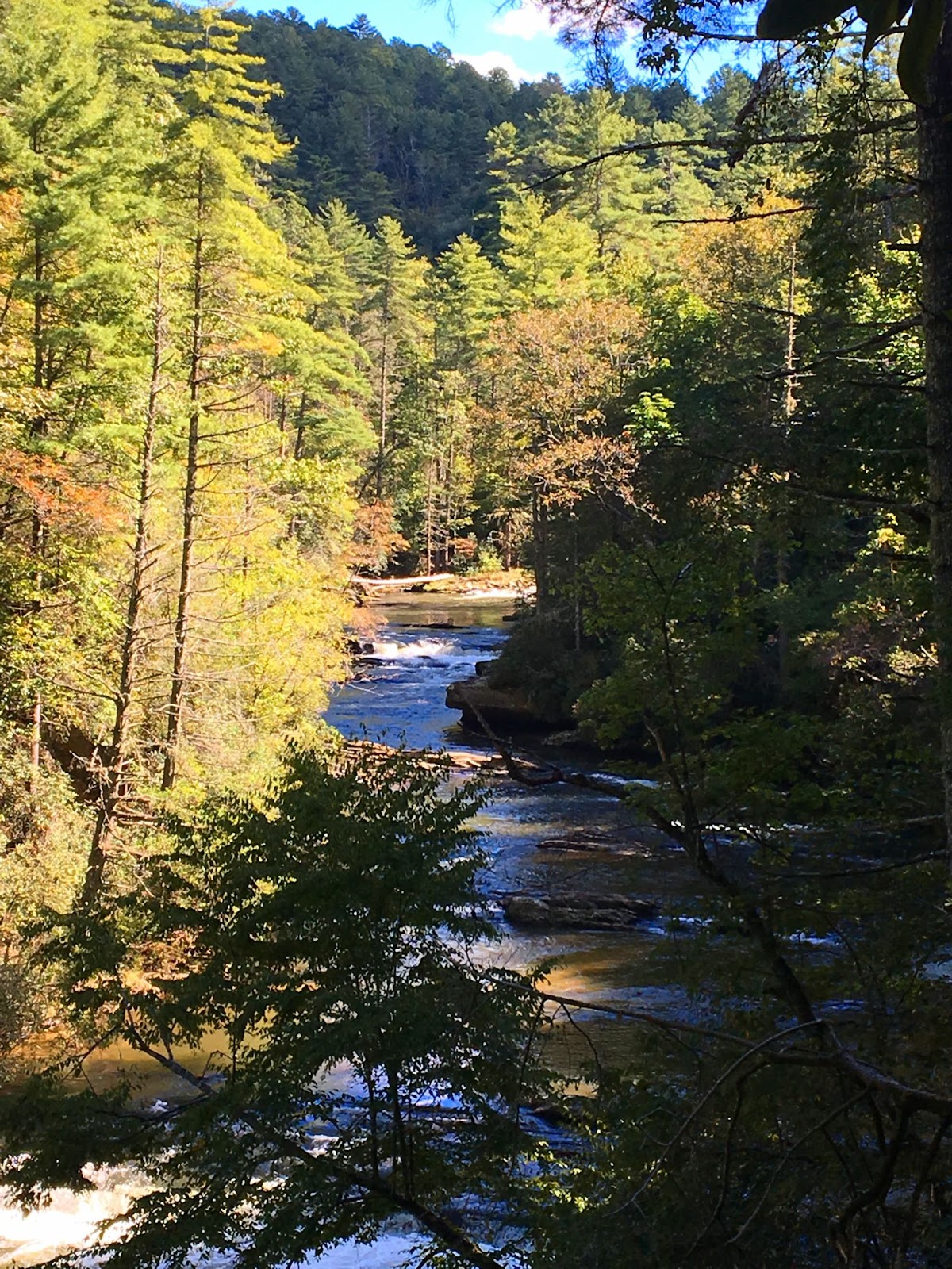 Chattooga Info 1180 - znq3nng