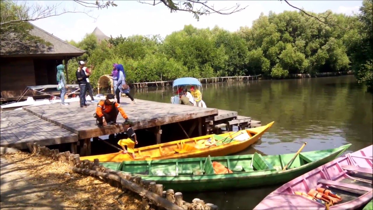 Gambar Taman Wisata Magrove Terinadah