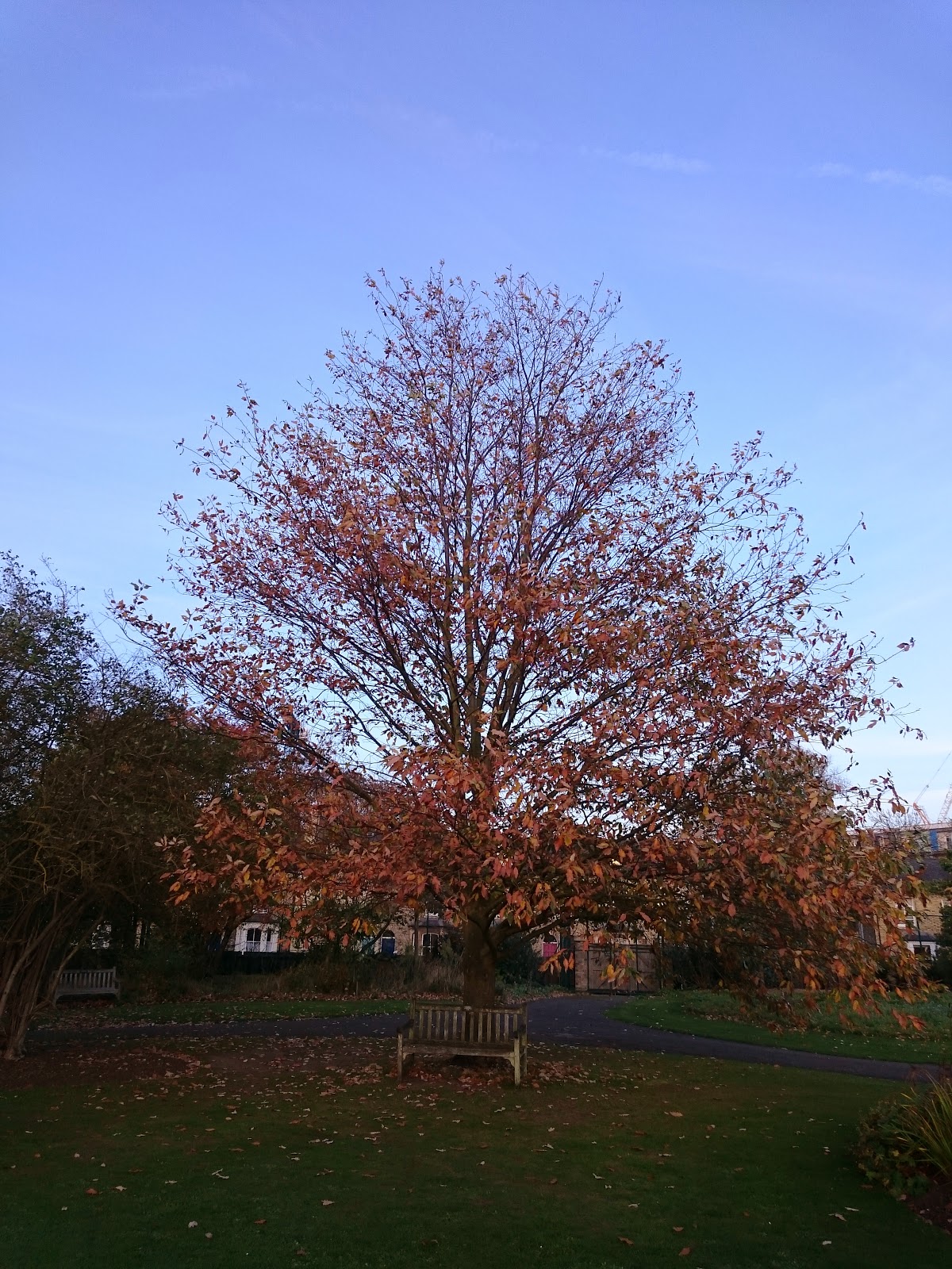 英國劍橋 劍橋學院之旅 Trinity College 三一學院 哈哈與eva 旅遊紀錄
