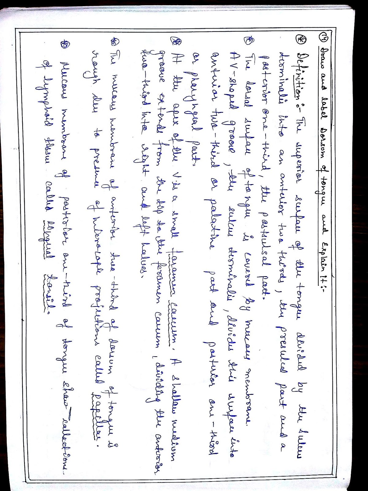 Anatomy Diagram Book