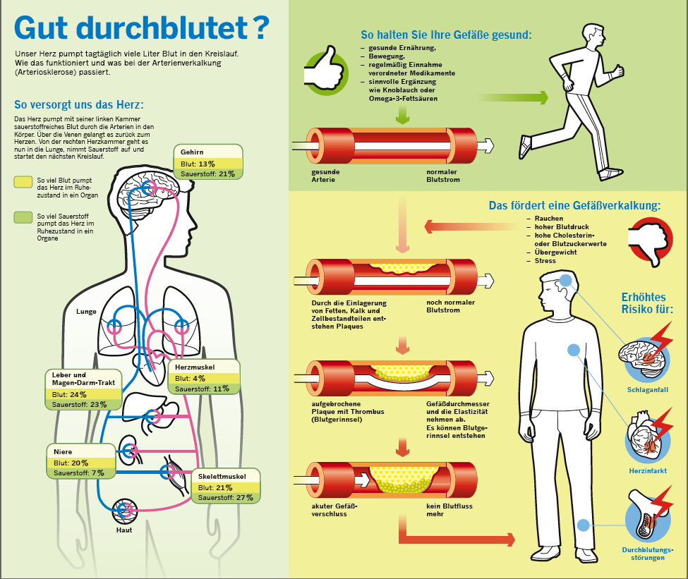 CAEPSELE: Infografiken für Doc Morris Apotheken