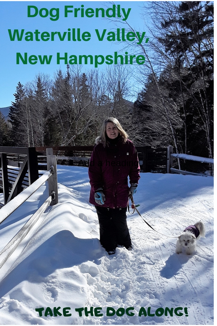 Dogs Luv Us and We Luv Them DOG FRIENDLY FUN IN WATERVILLE VALLEY, NEW