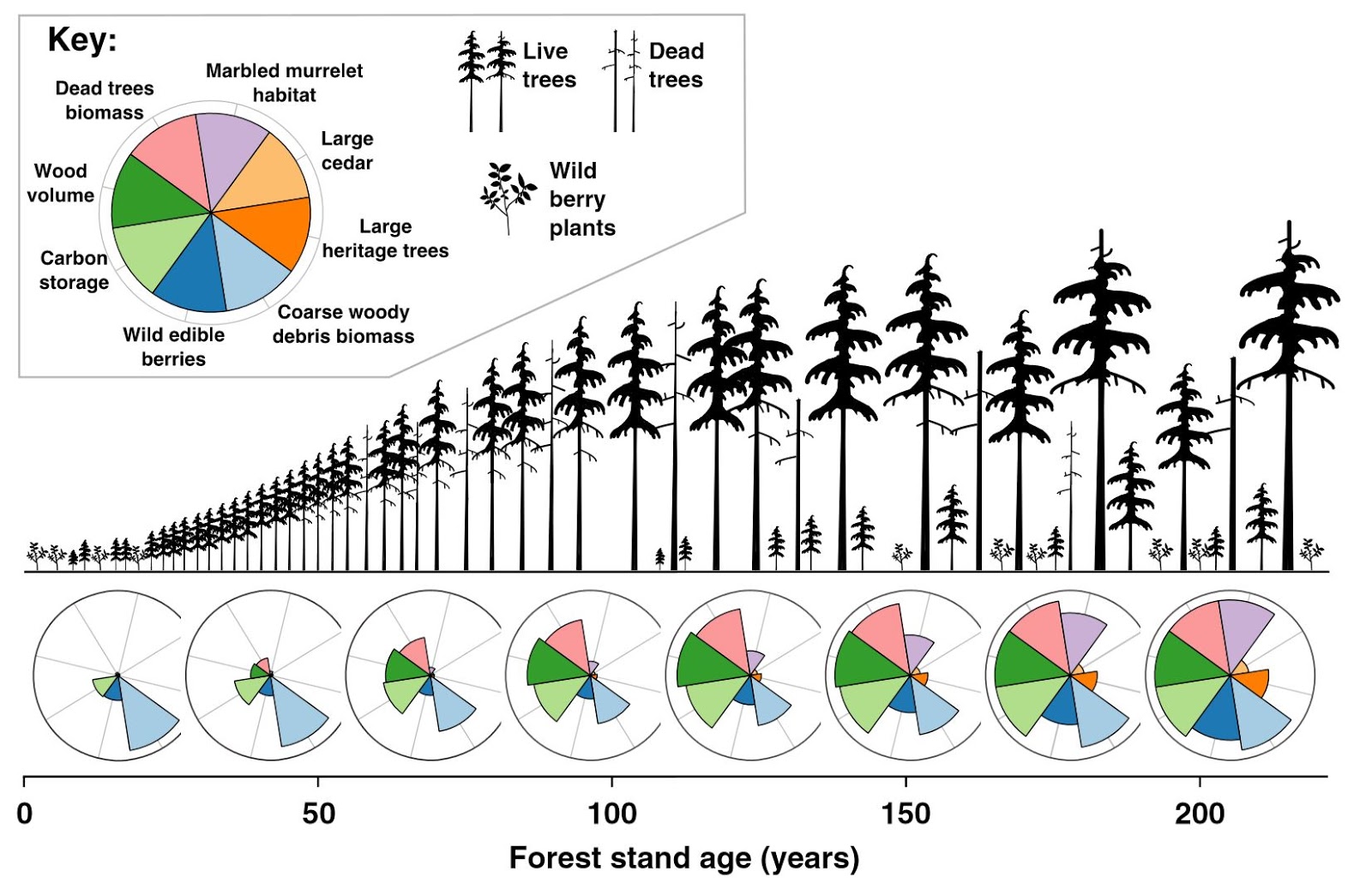 Ubc circle thesis submission image