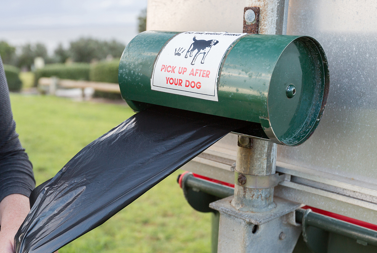 Registration of Pets Available at Service NSW Australian Dog Lover