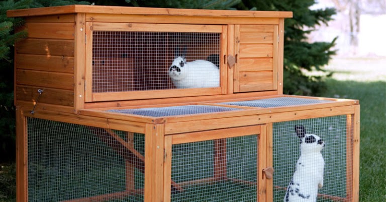 Tentang Ternak dan Peternakan: Membuat Kandang Kelinci Sederhana yang