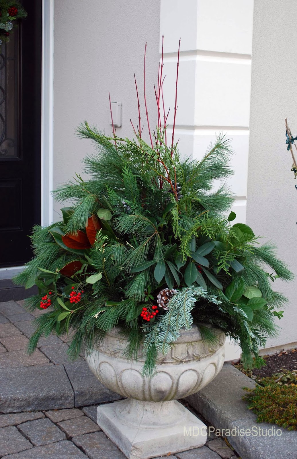 PARADISE FLORAL STUDIO Christmas outdoor pots