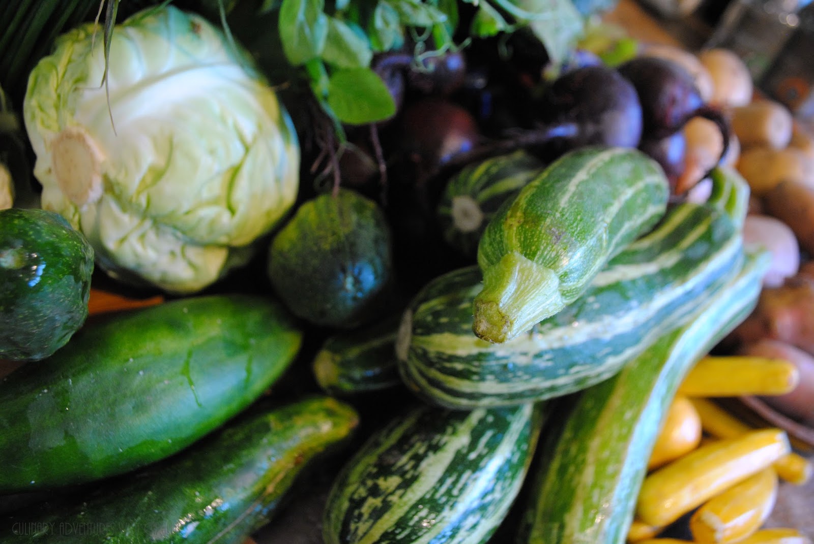 Spicy Summer Squash Refrigerator Pickles FarmersMarketWeek