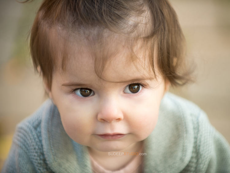 First year Baby Birthday Family Portrait Photography - Ann Arbor Photographer Sudeep Studio.com