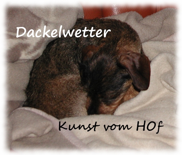 Dackelwetter Kunst Vom Hof