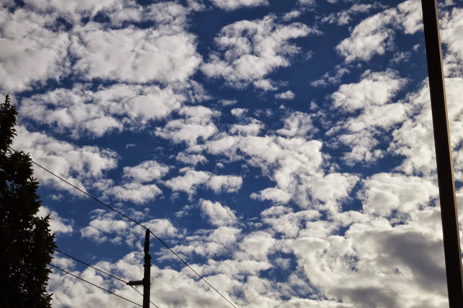 The ZehnKatzen Times [liff] Buttermilk Sky Over Outer East Portlandia