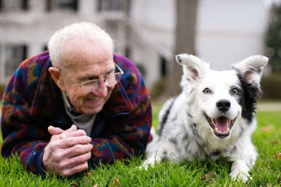 @InstaMag - Believe it or not, dogs have the ability to distinguish words and the intonation of human speech through brain regions similar to those that humans use. dogs-understand-human-words-intonation