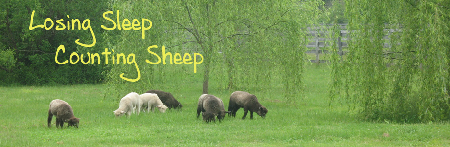 losing sleep counting sheep