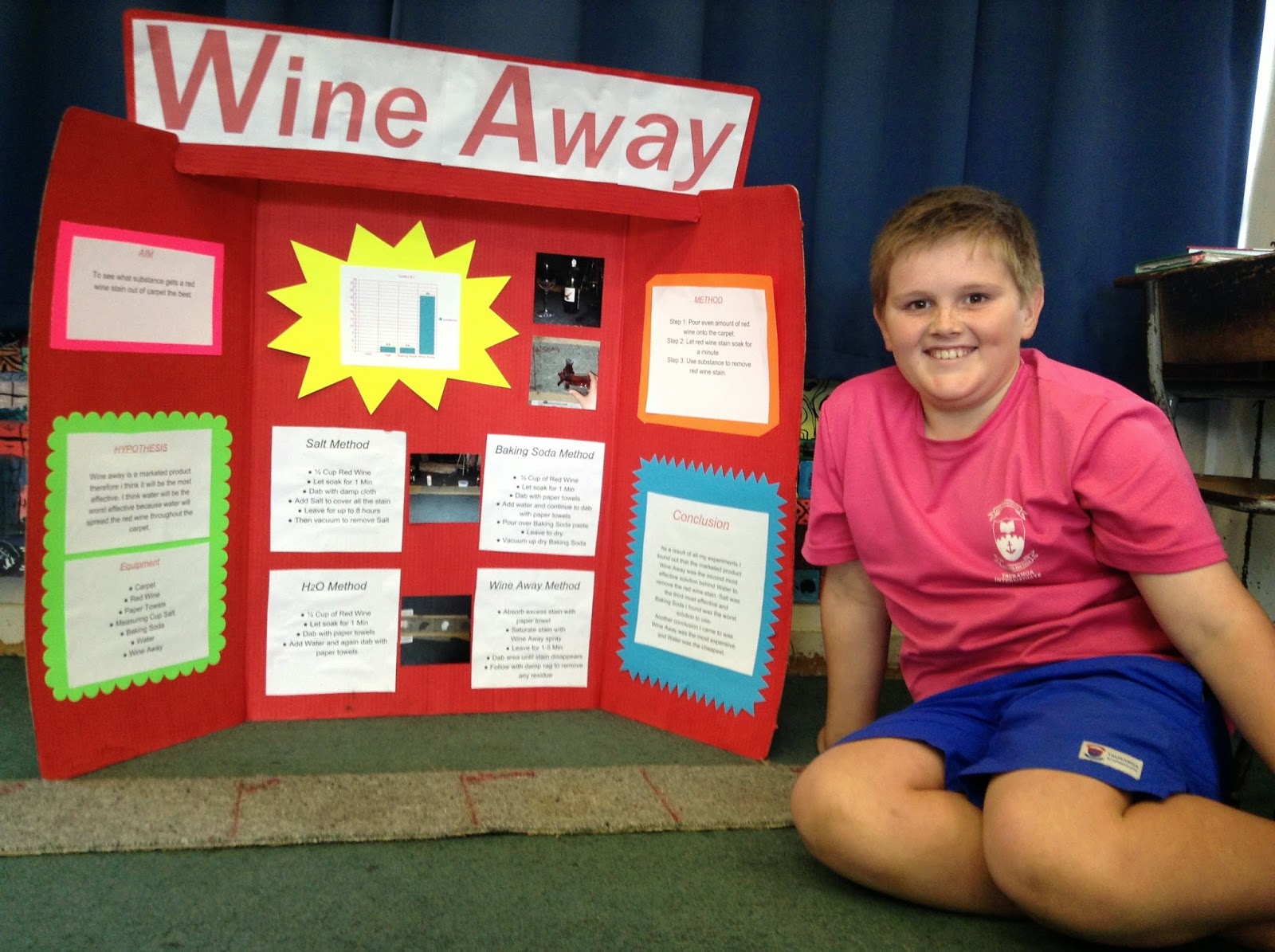 Room Six 2014 Science Fair Boards