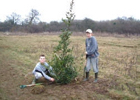 Photograph of volunteers planting trees for the North Mymms Millennium Avenue. Picture from the former Brookmans Park Newsletter