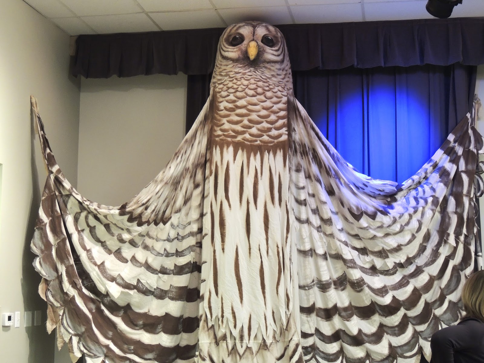 Paper Hand Puppet Intervention show in Wake Forest NC at the