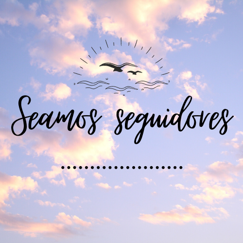 Iniciativa seamos seguidores