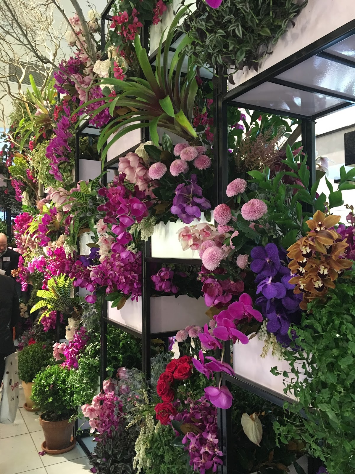 Urban Flower David Jones Sydney 2016 Flower Show