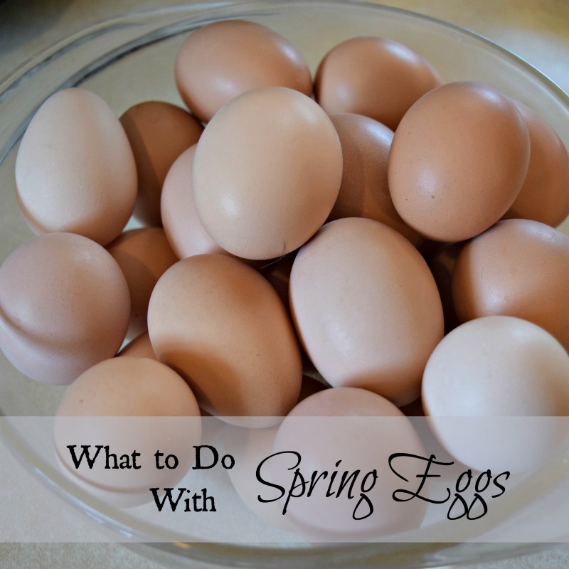 How To Use Up All Those Homestead Eggs In The Spring Oak Hill Homestead