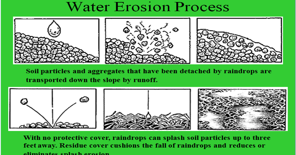 Soil processing