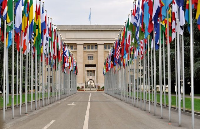 business latest insights for a few nations business latest insights for a few nations