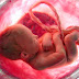 «Πολιτισμός»: Νοσοκομεία στην Βρετανία χρησιμοποιούν για την θέρμανσή τους αποτεφρωμένα έμβρυα από εκτρώσεις…