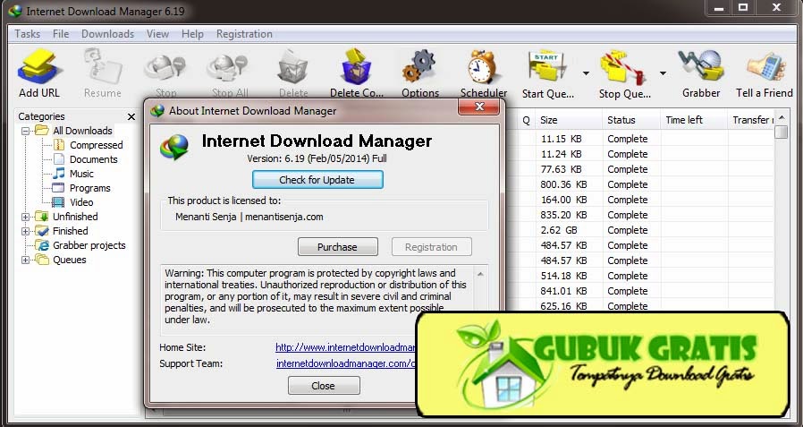 Бесплатный internet download manager
