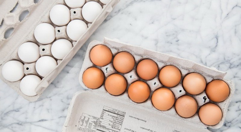  manfaat telur ayam negeri