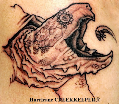 Your Hurricane Creekkeeper