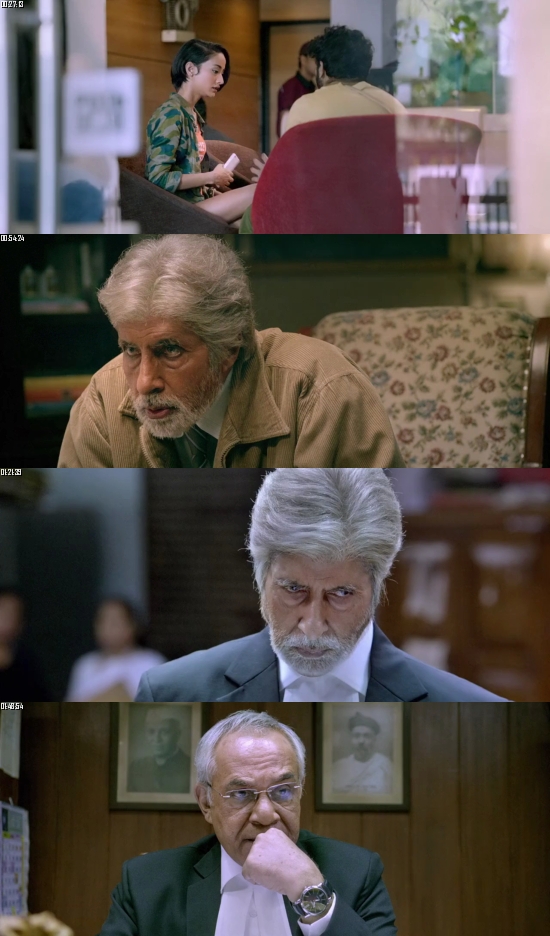 Pink 2016 Hindi 720p 480p BRRip x264 Full Movie