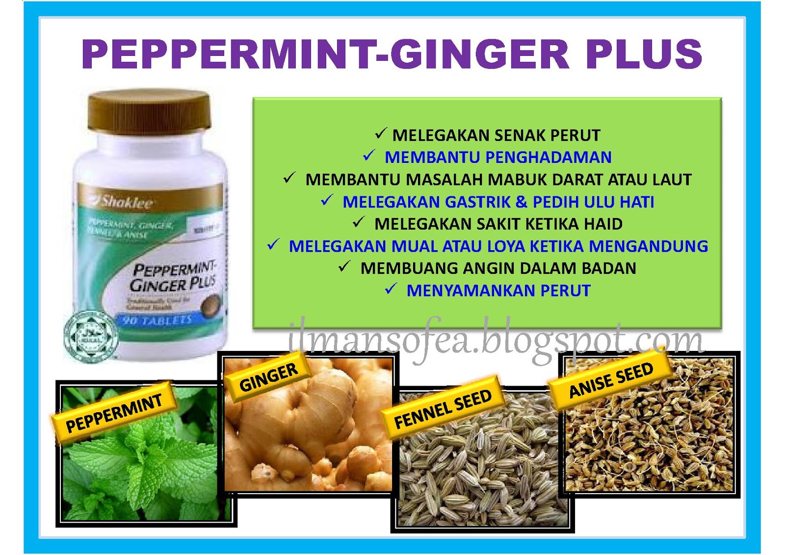 Harapan impian realiti : Peppermint-Ginger Plus