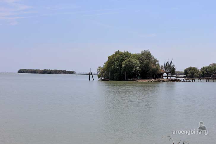 taman mangrove morosari demak