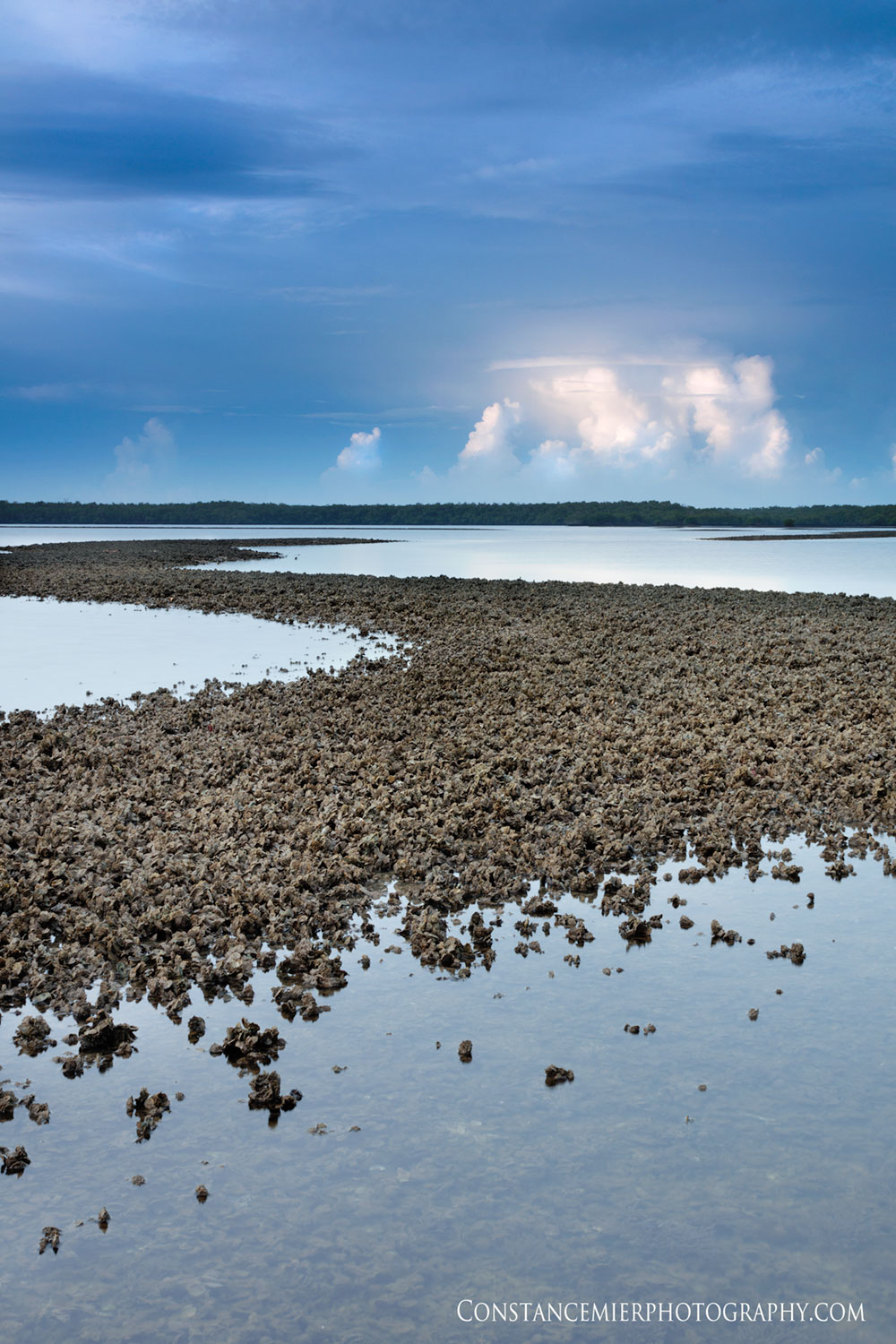 Nature Photography from a Canoe Finding Chokoloskee Bay
