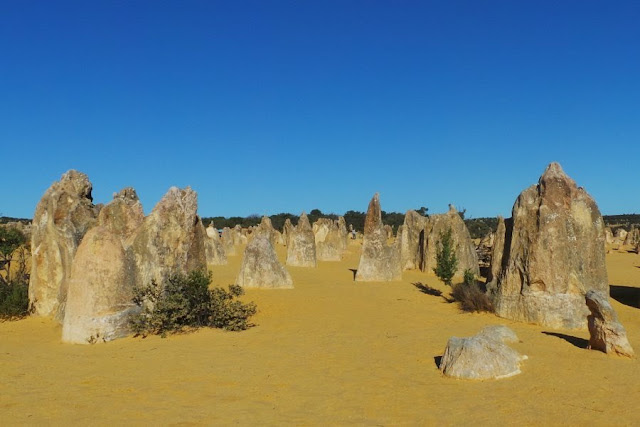 Fenomena Ribuan Pilar Karang di Pinnacles Desert, Australia