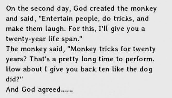 The%2BStages%2BOf%2BLife%2BExplained%2BP