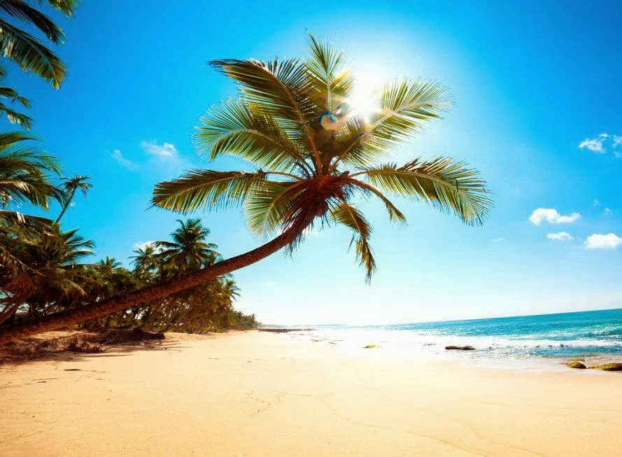 Best places to visit in Goa
