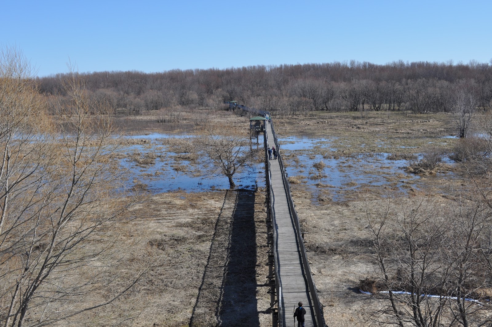 Centre d'interprétation de BaieduFebvre Complément de visite