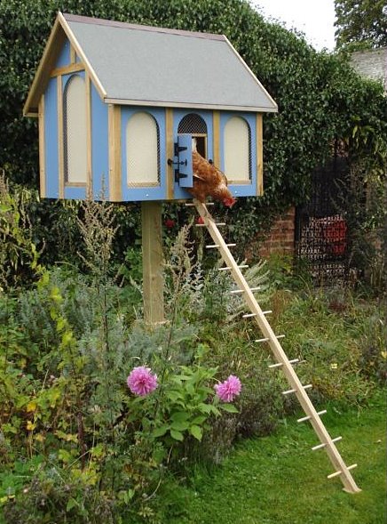 Your Poultry: More mad hen houses