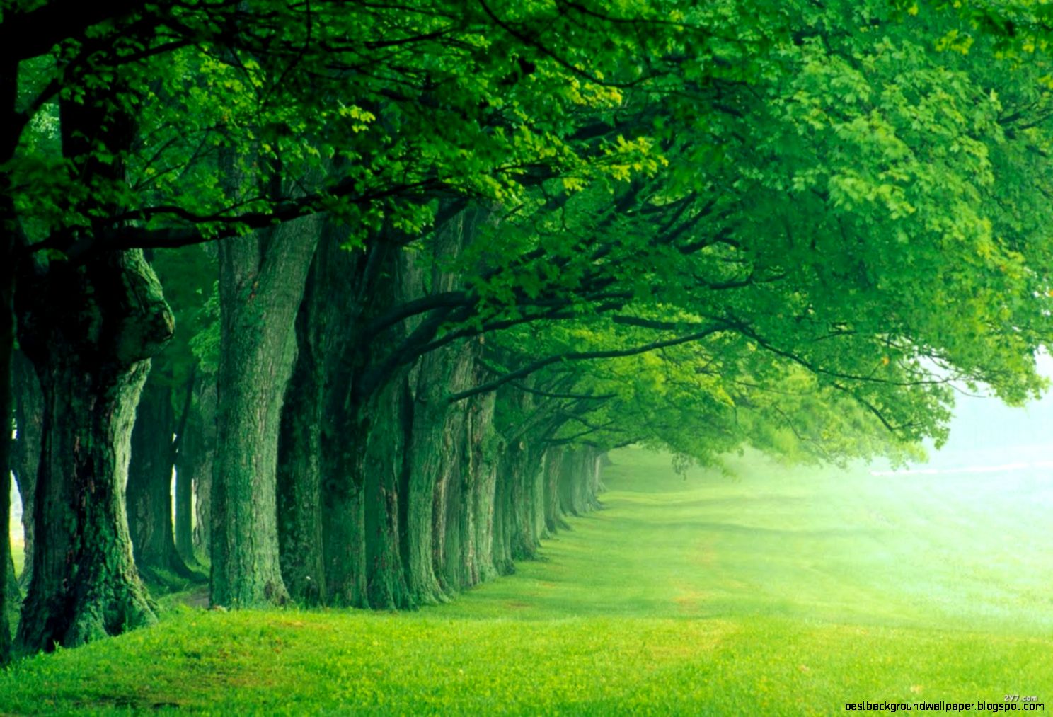 Nature Wallpapers High Resolution  Wallpapers  Pinterest