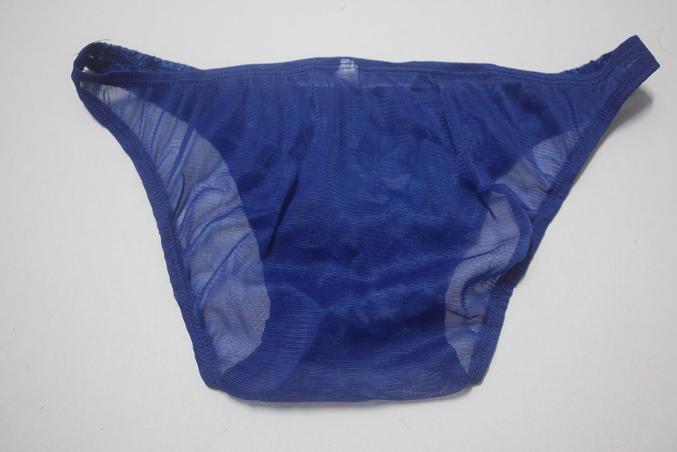 FASHION CARE 2U: UM441-2 Blue Sexy Mesh Floral Lace Men's Brief Underwear
