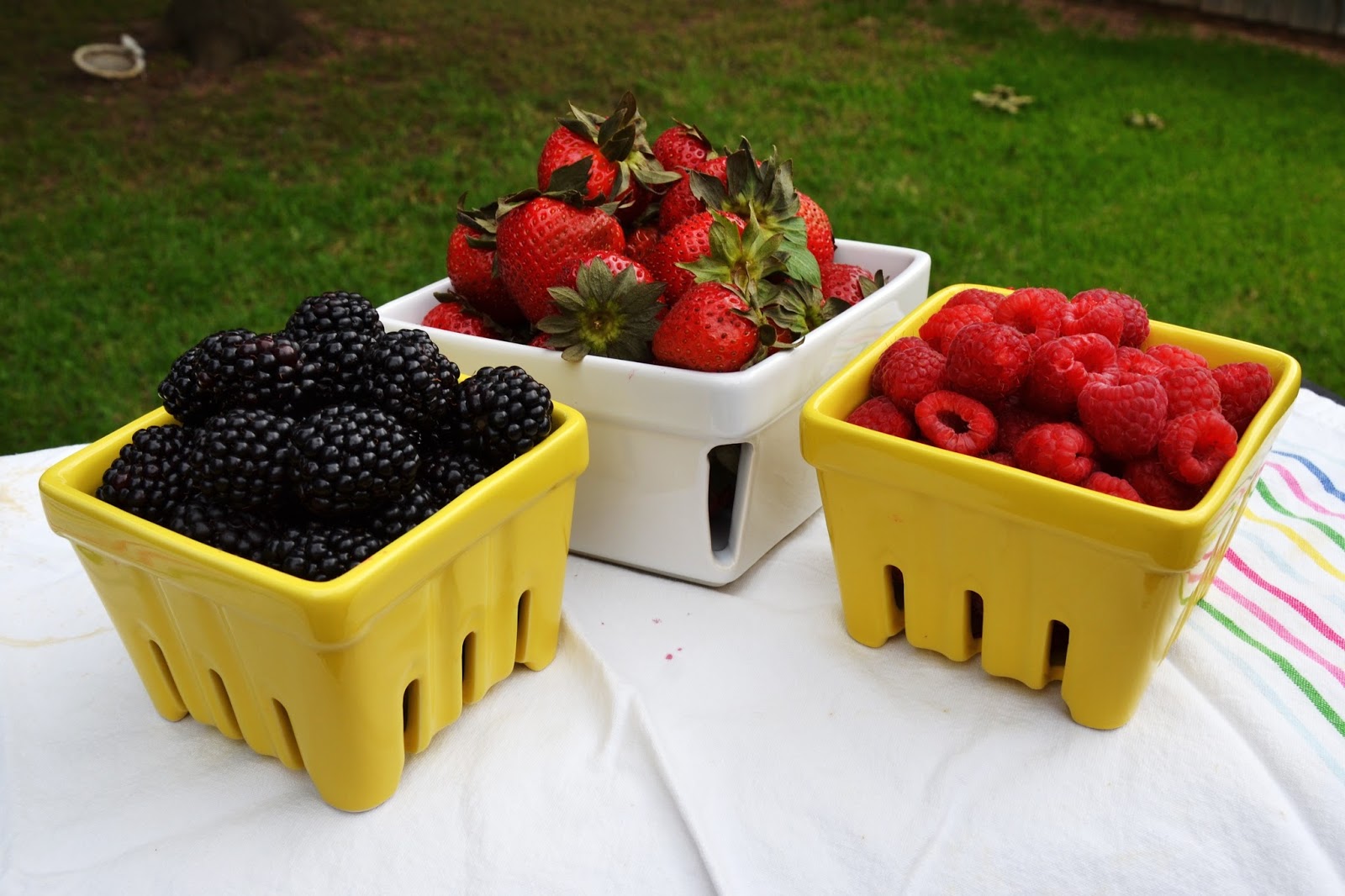 Berry Baskets