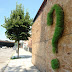 Interesante Graffiti Ecológico.