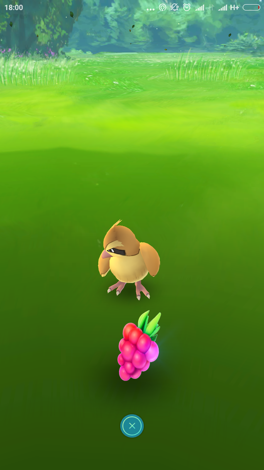 Cara Menggunakan Razz Berry di Game Pokemon Go FreeZone88