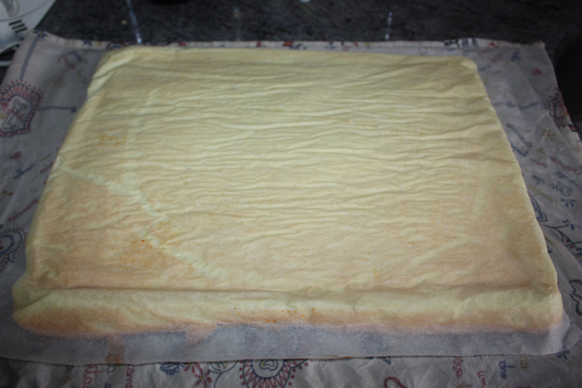 Pin en , Mariposa pañuelo