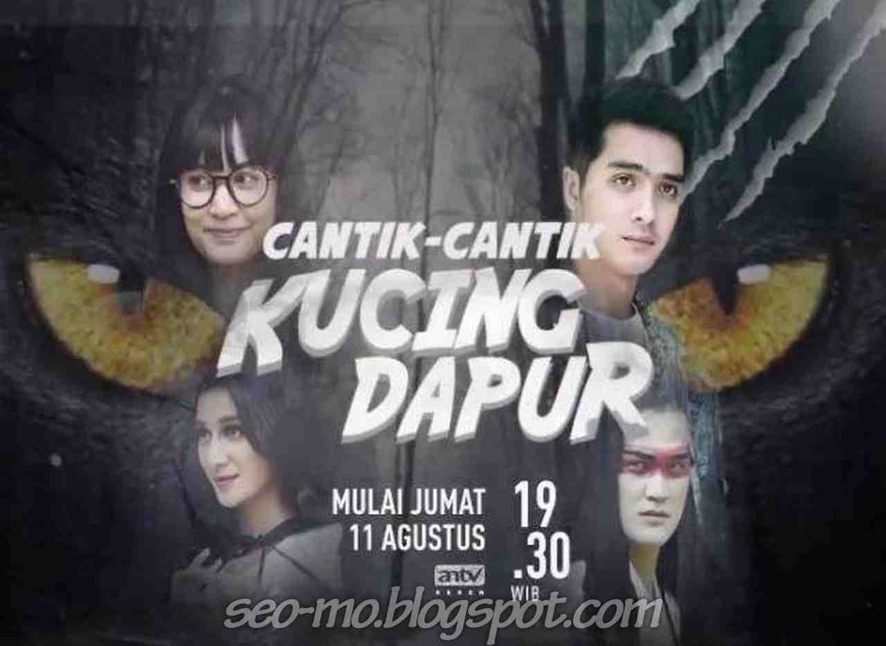 Biodata Dan Foto Pemain Cantik Kucing Dapur Terlengkap Info Sinetron Cantik Kucing Dapur