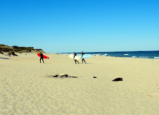 Surfers on Coast Guard Beach in Eastham, MA 