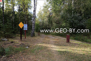 Налибокская пуща. Лесной перекресток с плакатами