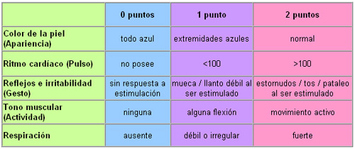 Torres Barrios Karla: Valoración APGAR